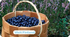 Summer in Finland