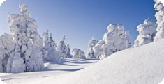 Winter in Finland